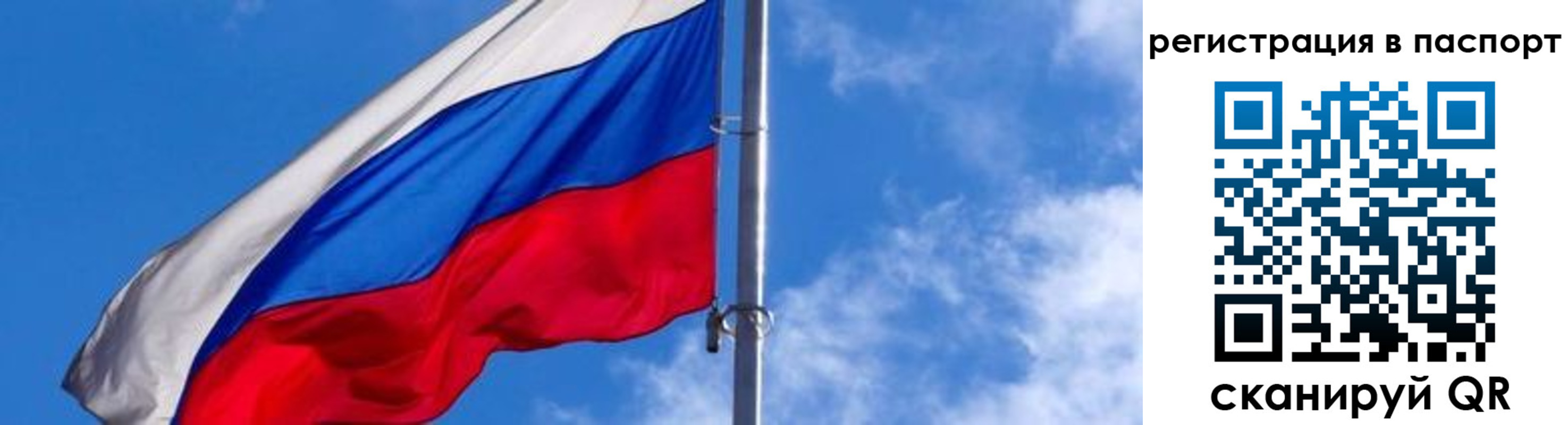 прописка гарантия в Чите